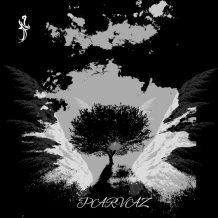 آهنگ جدید مهرداد به نام پرواز